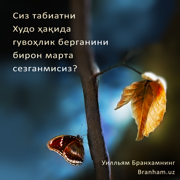 Картинка цитаты